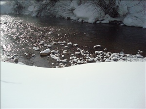 Breck2008 013.jpg